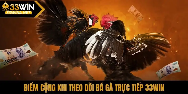 Điểm cộng khi theo dõi đá gà trực tiếp 33Win