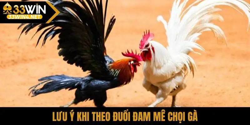 Lưu ý khi theo đuổi đam mê chọi gà