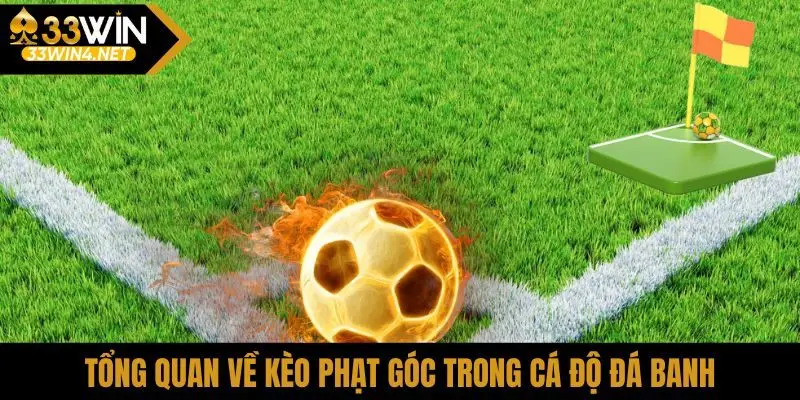 Tổng quan về kèo phạt góc trong cá độ đá banh